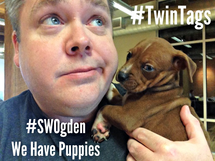 startup weekend Twin Tags ogden puppies